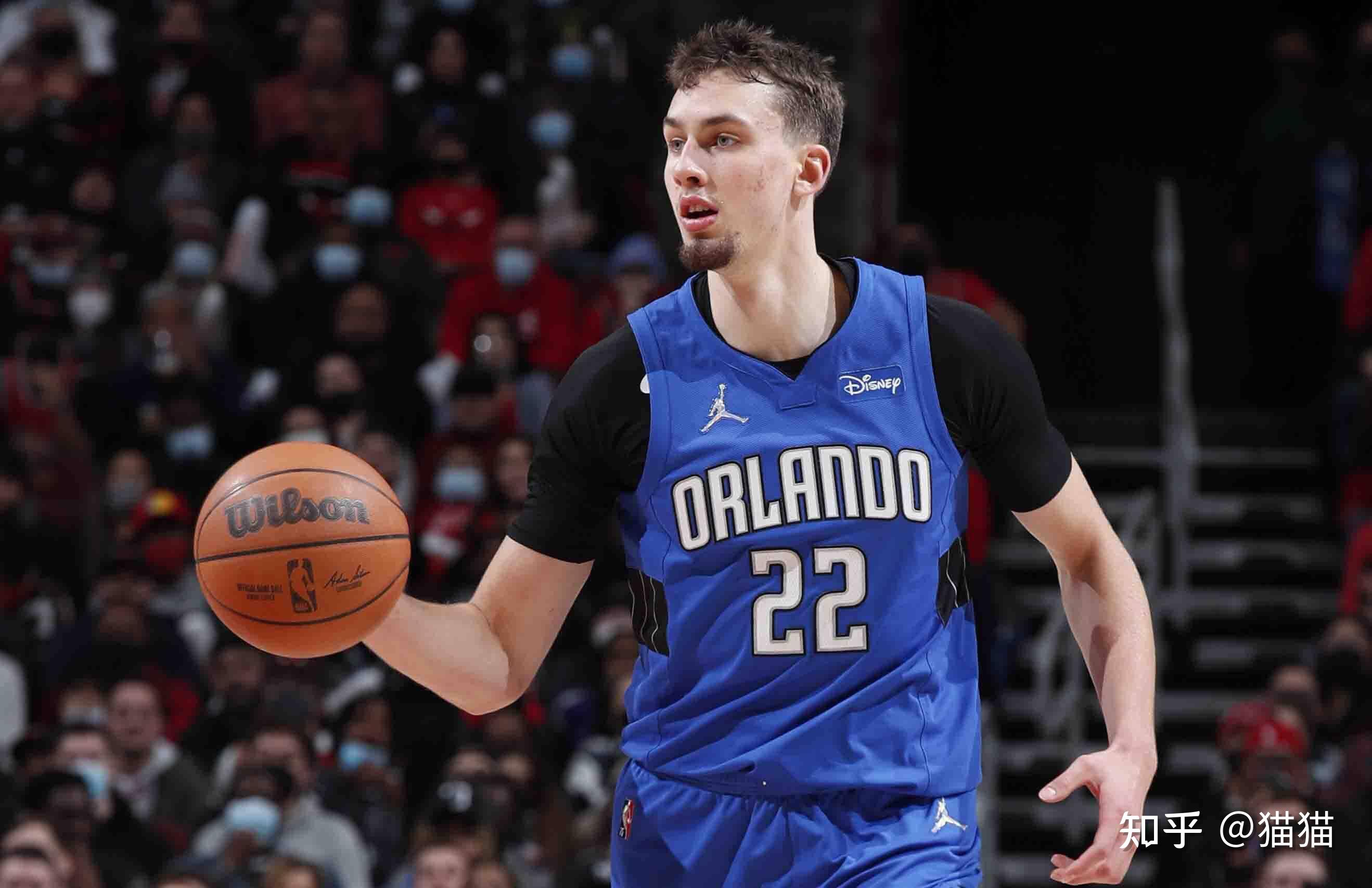 近年来在马 近年来在马