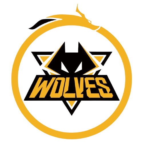 优化游戏时 优化游戏时